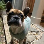 - Cindy H, Hampstead