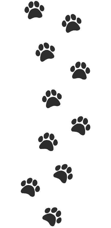 Paws paws d8b44e