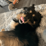 Diana O, Durham, Olive